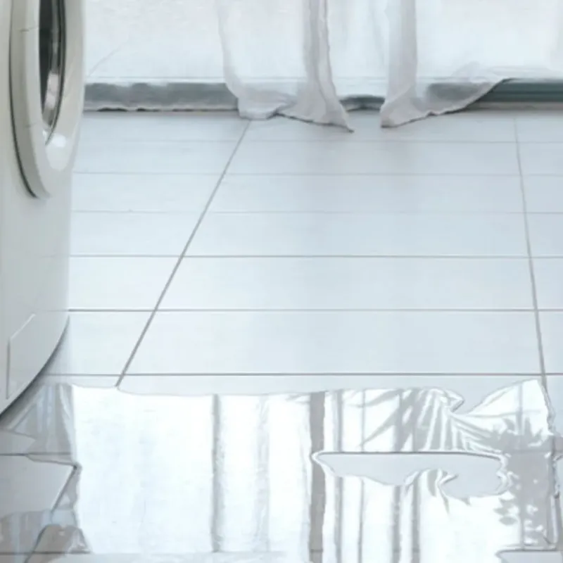 Appliance Leak Cleanup in La Salle, IL