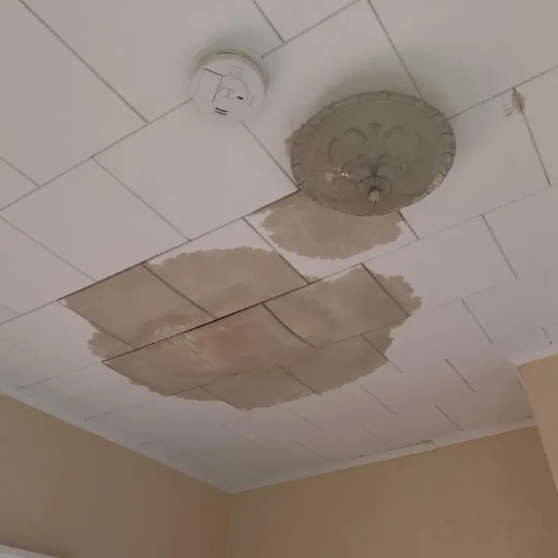 Ceiling Water Damage Repair in La Salle, IL