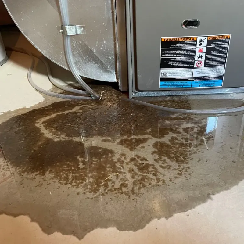 Pipe Burst and Leak Restoration in La Salle, IL