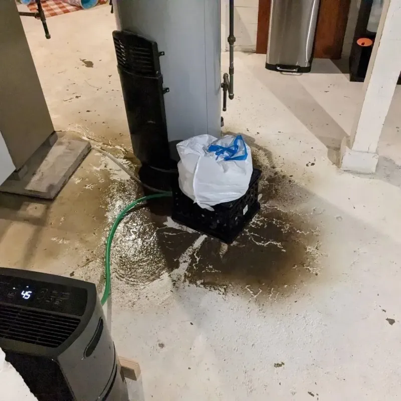 Sewage Backup Cleanup Service in La Salle, IL